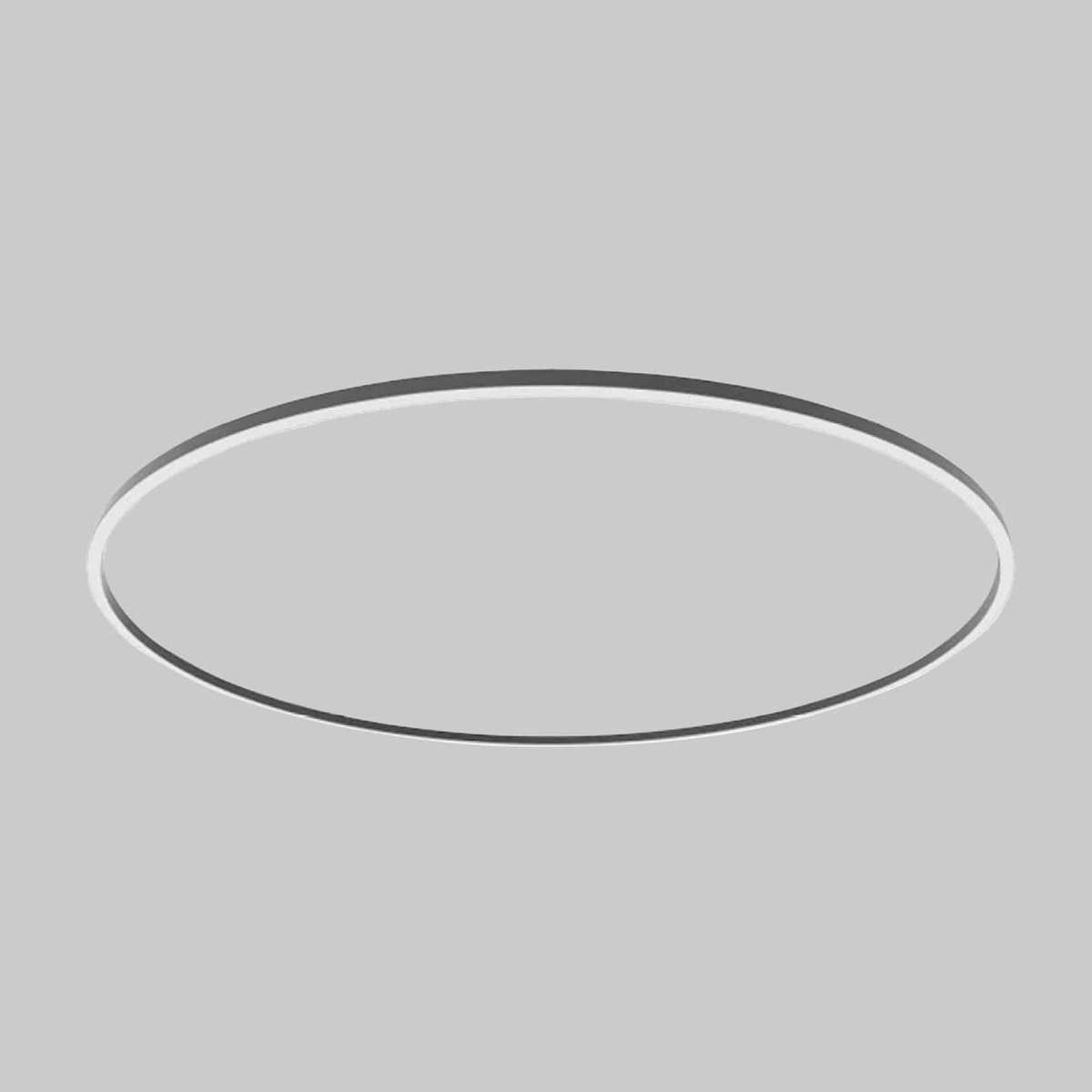 RHEALP25C Ceiling Suspended Ring Lighting – Modern Aluminium LED Pendant Light for Contemporary Interiors