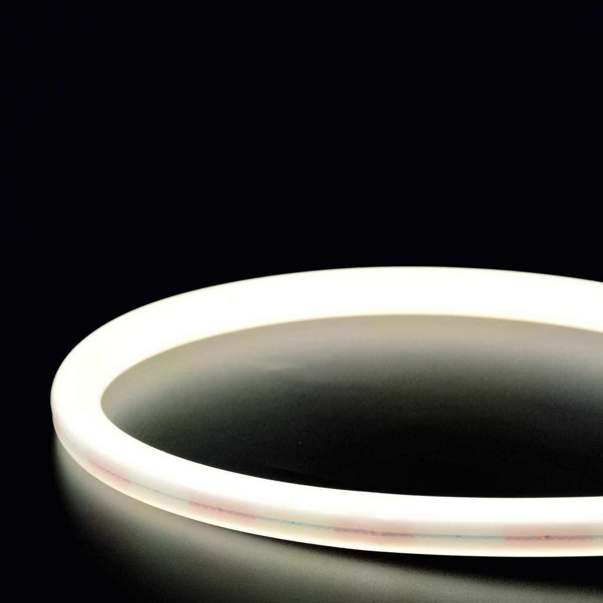 Neon Flex 360? - 16 RLLNF360-D16 - Image 5