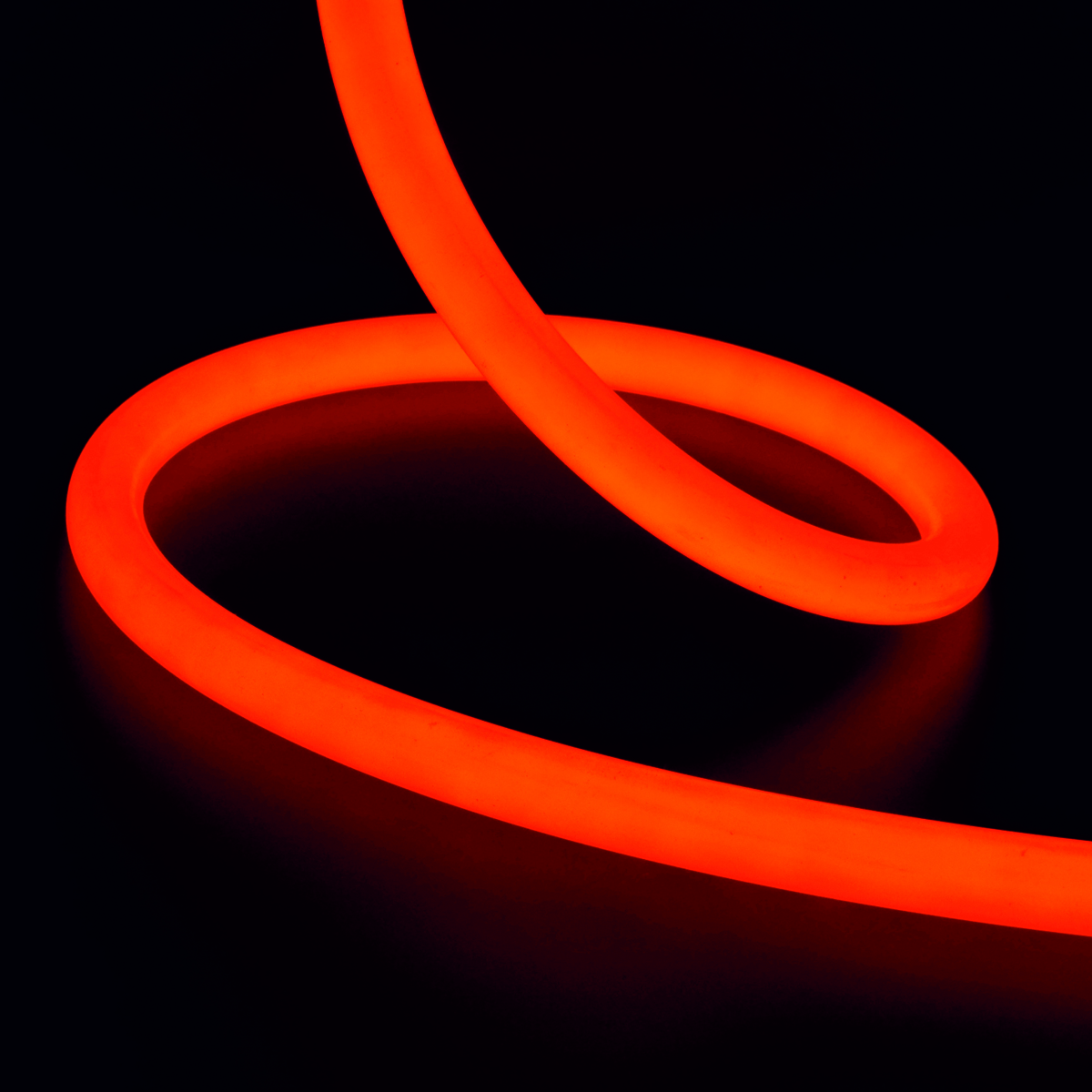 Neon Flex 360? - RLLNF360-D25 - Image 2