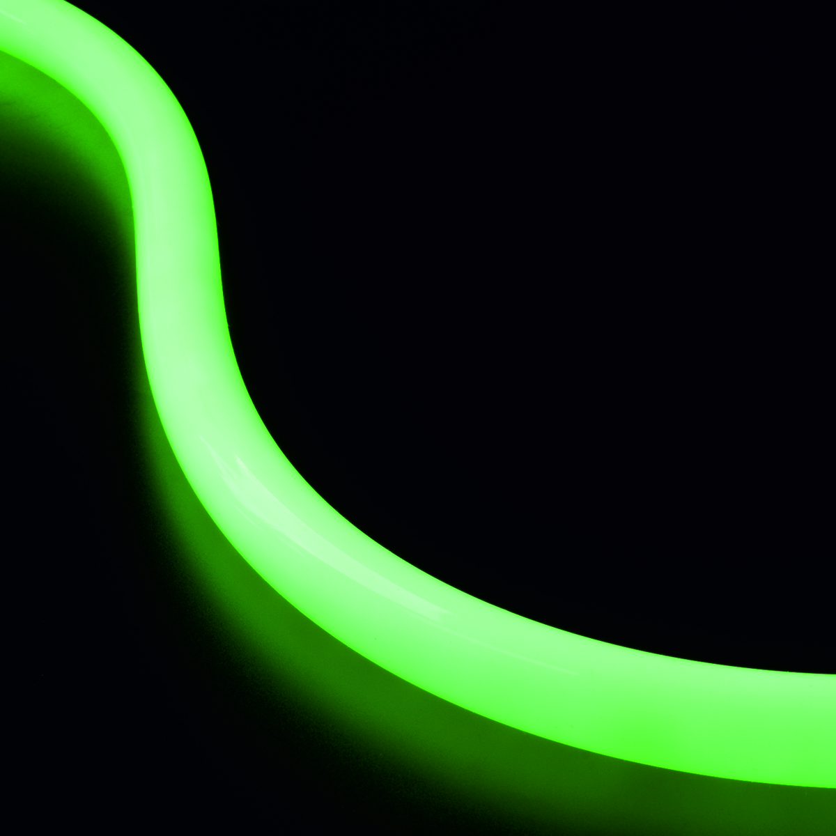 Neon Flex 360? - RLLNF360-D25 - Image 5