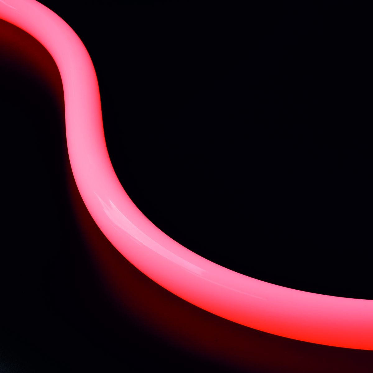 Neon Flex 360? - RLLNF360-D25 - Image 6