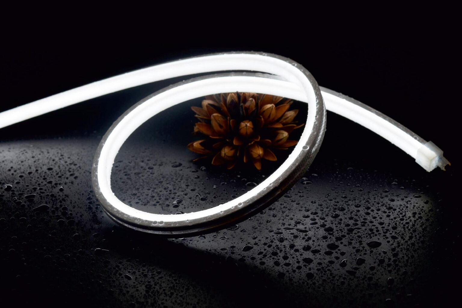 Neon Flex Trio RLLNFTR1010 high‑CRI LED strip lighting installed along luxury interior ceiling cove