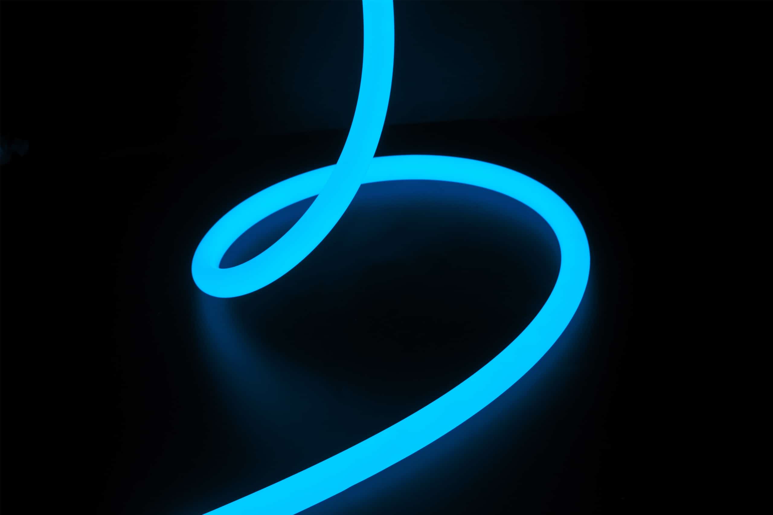Neon Flex 360 - RLLNFR25 PRO