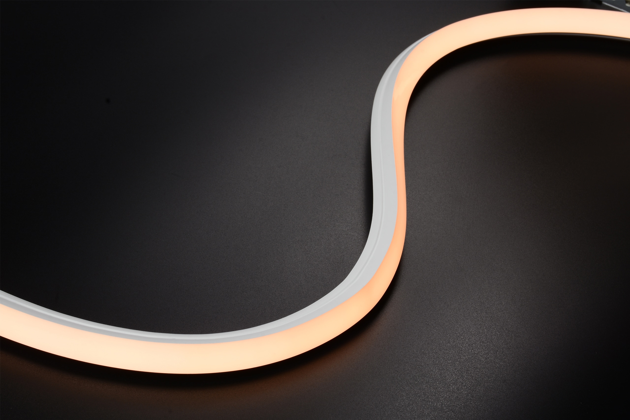 Neon Flex 3D - RLLNF3D1615