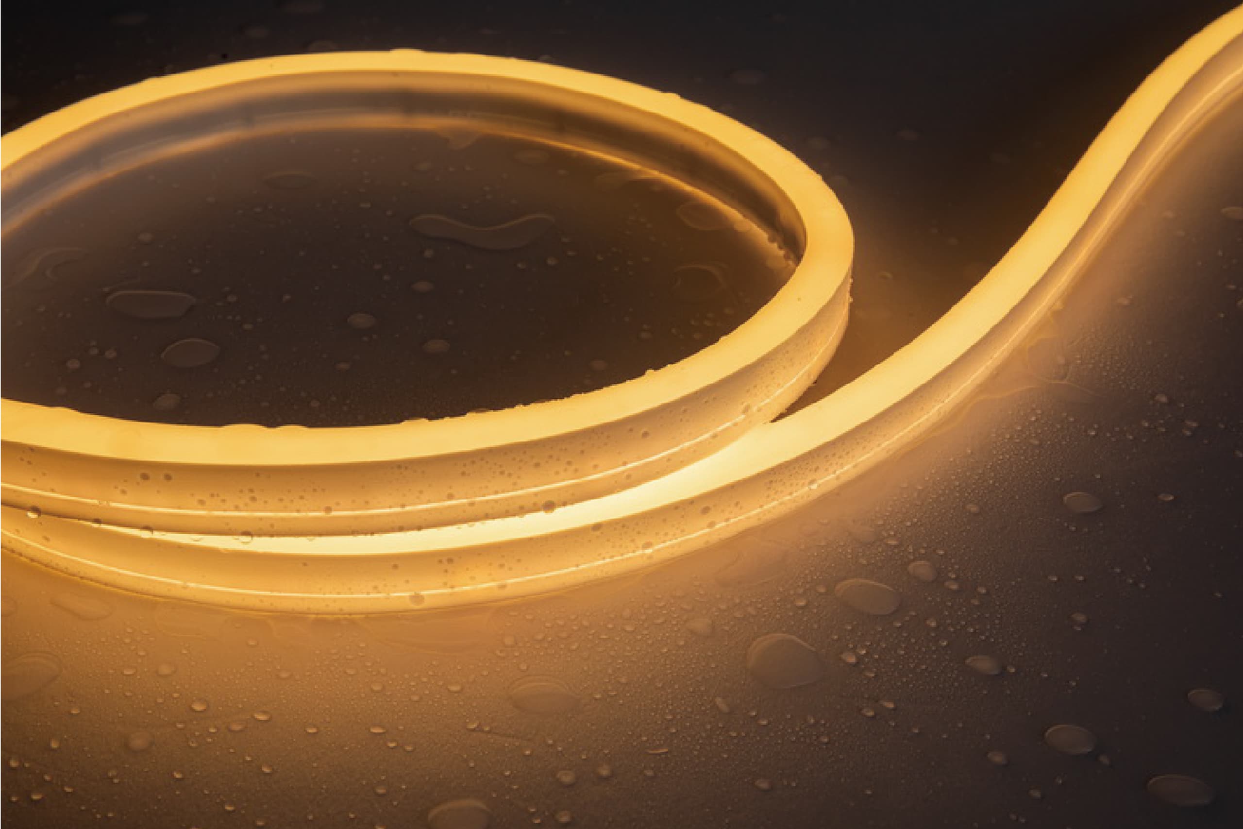 RLLNFSB1015 Neon Flex Side-Bend Swimming Pool Light IP68