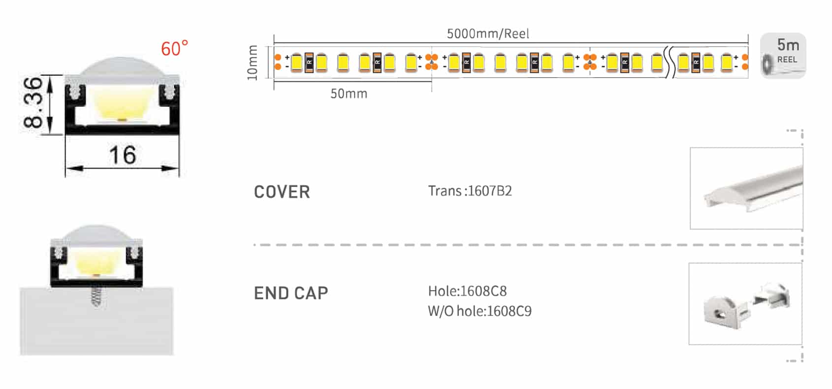 Regular Profile: RHEALP1608C - Image 2