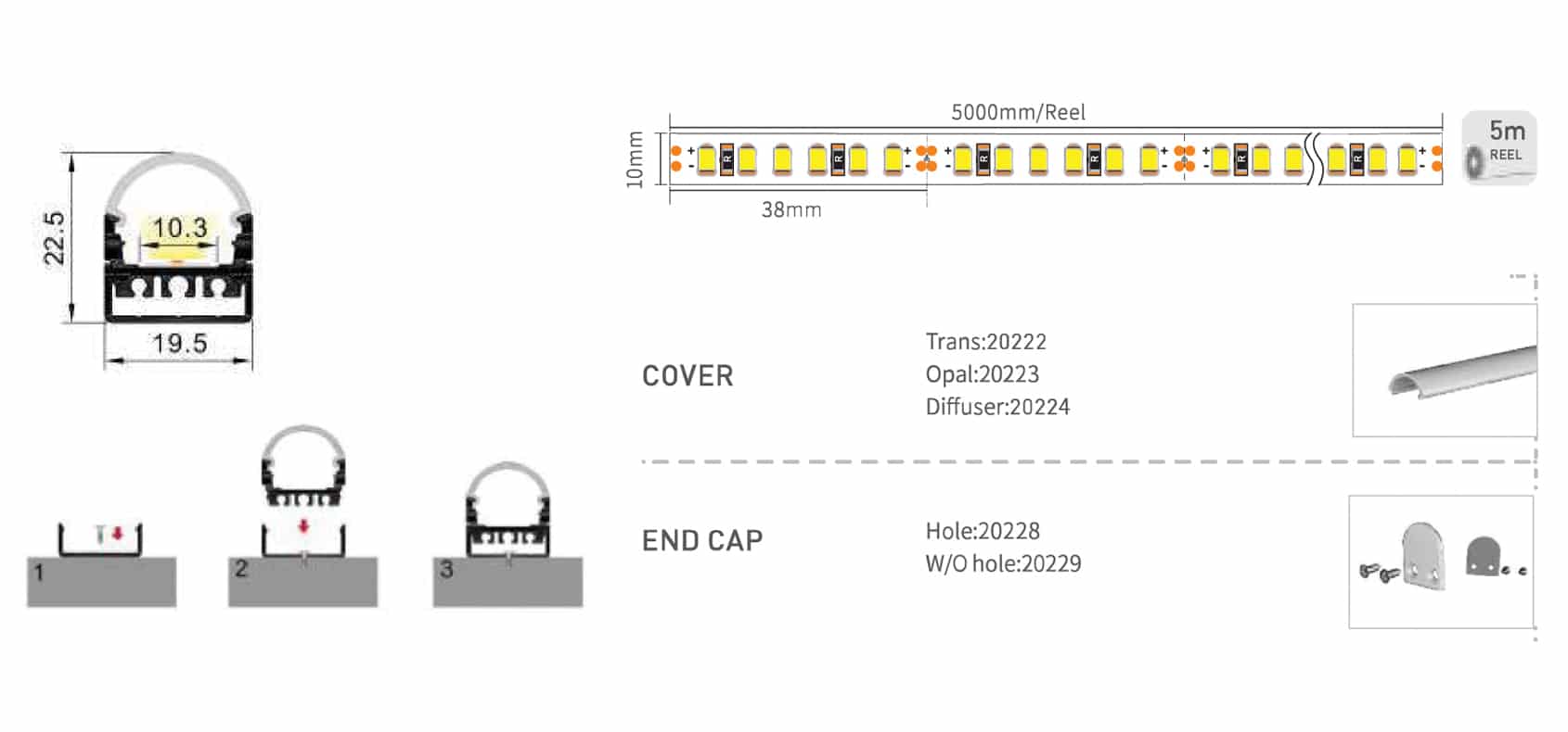 RHEALP2022 - Image 2