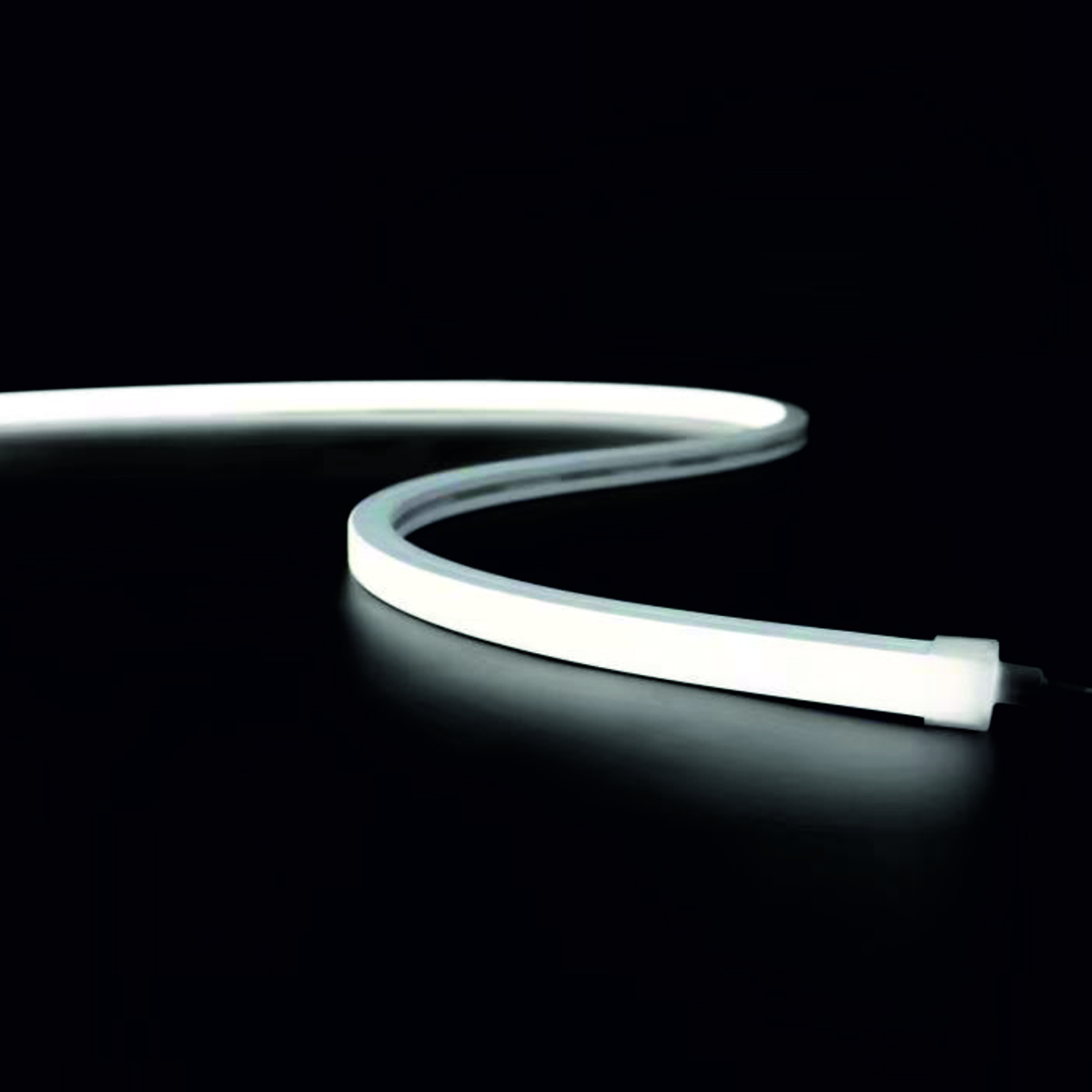 RLLNFTB1212 SS - Image 6